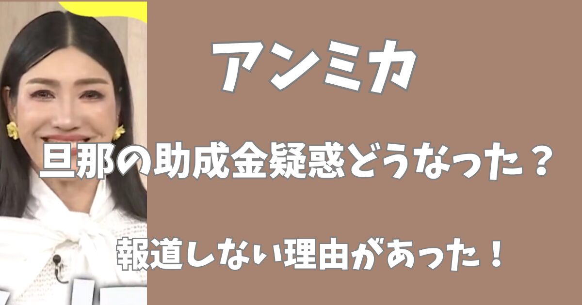 アンミカの旦那の助成金疑惑はどうなった？