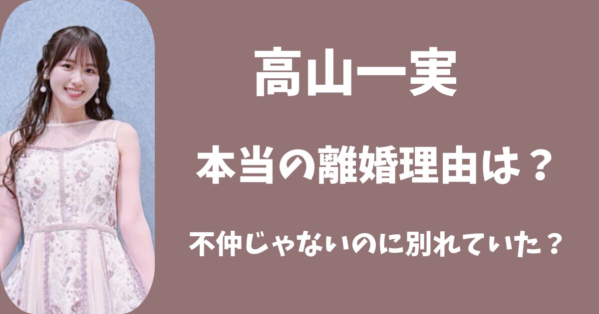 高山一実とふくらpの本当の離婚理由は？不仲じゃないのに別れていた？